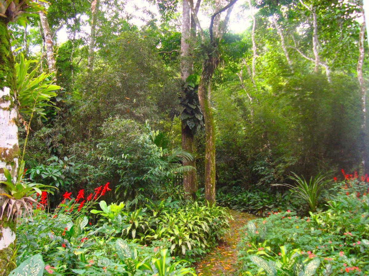 Eco-Flats Cachoeira Azul Araquari Eksteriør bilde